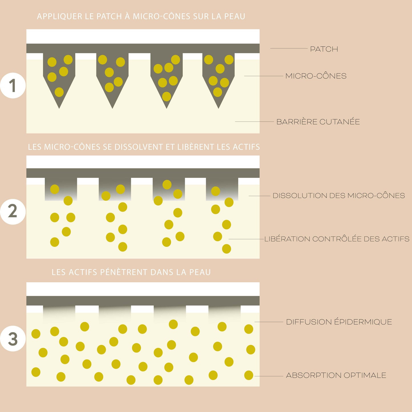 Patchs Anti-Acné Microneedling