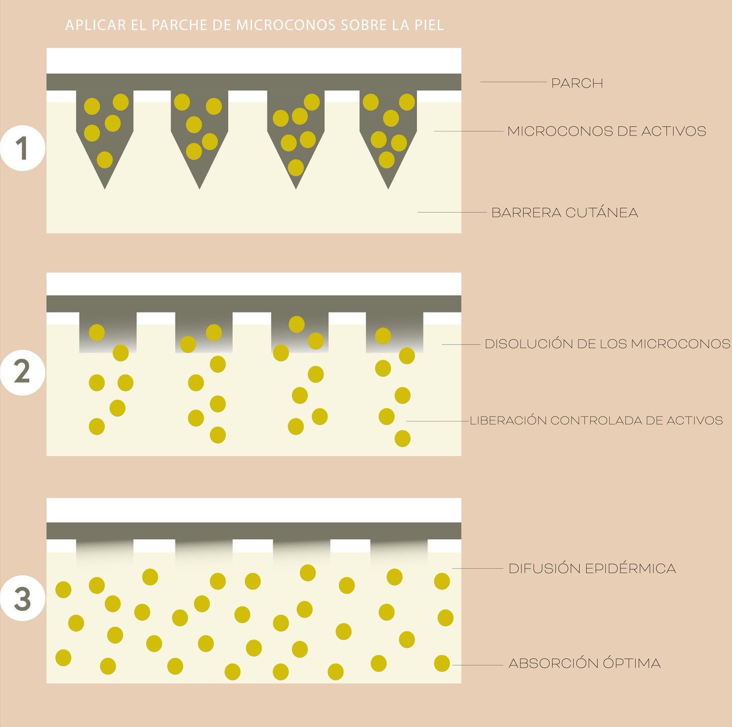 Patchs Anti-Acné Microneedling